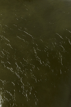 Парка из лакированной кожи утепленная